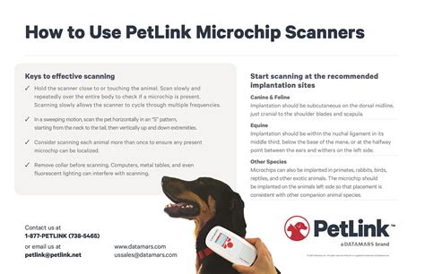 Pet Microchip Lookup 